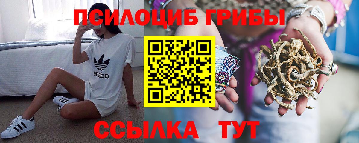 Галлюциногенные грибы Psilocybine cubensis  что такое   Волгоград  Вход с VPN 